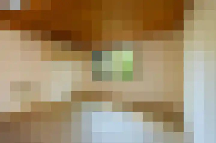 Europalaan 17 Putte thumbnail 37