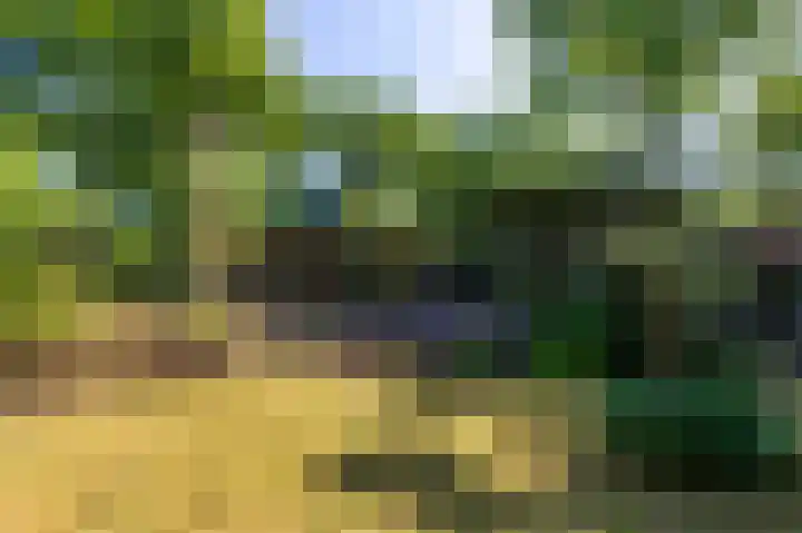 Europalaan 17 Putte thumbnail 4