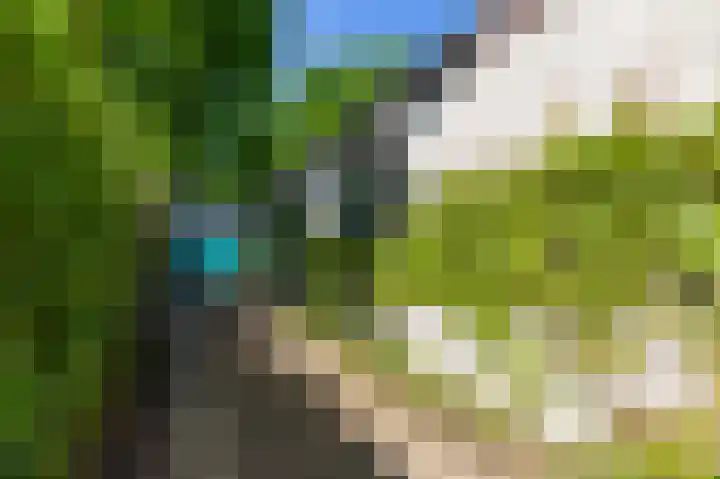 Europalaan 17 Putte thumbnail 40
