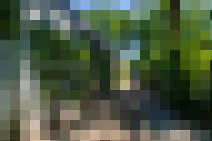Europalaan 17 Putte thumbnail 41