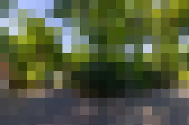 Europalaan 17 Putte thumbnail 42
