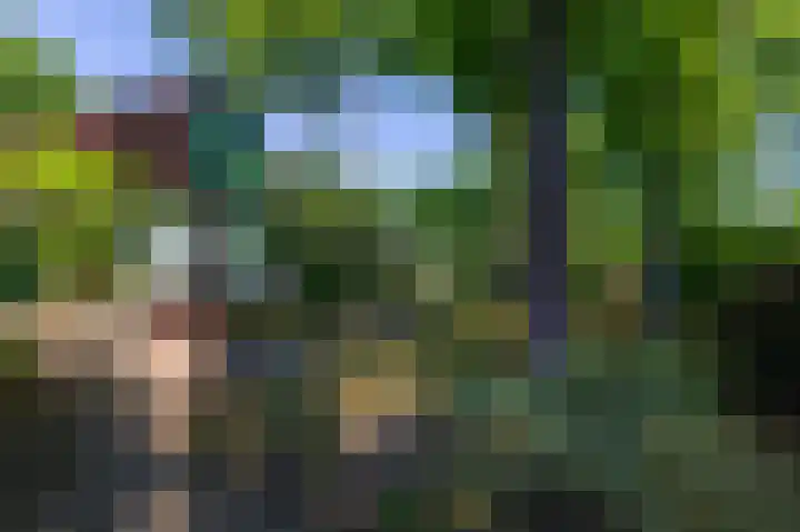 Europalaan 17 Putte thumbnail 43