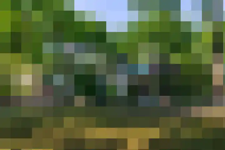 Europalaan 17 Putte thumbnail 44