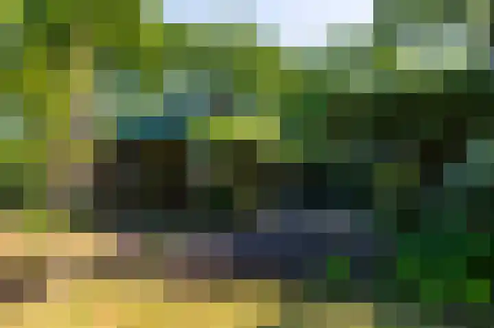 Europalaan 17 Putte thumbnail 46