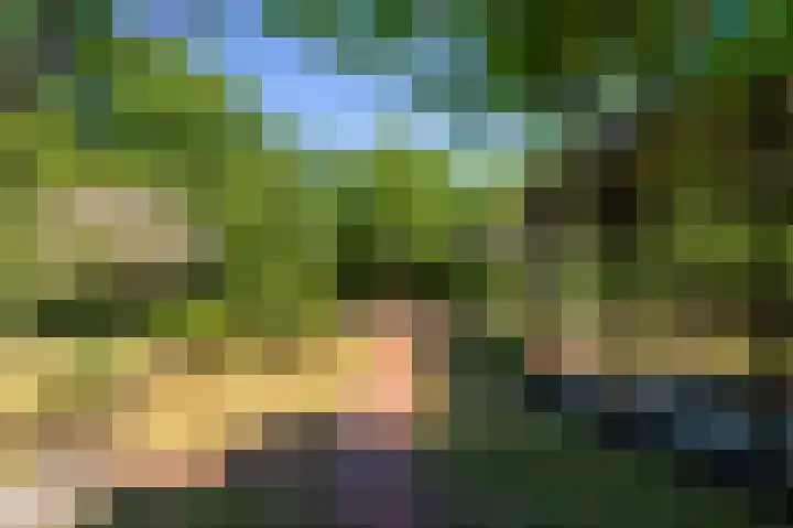 Europalaan 17 Putte thumbnail 48