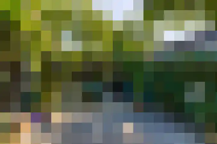Europalaan 17 Putte thumbnail 49