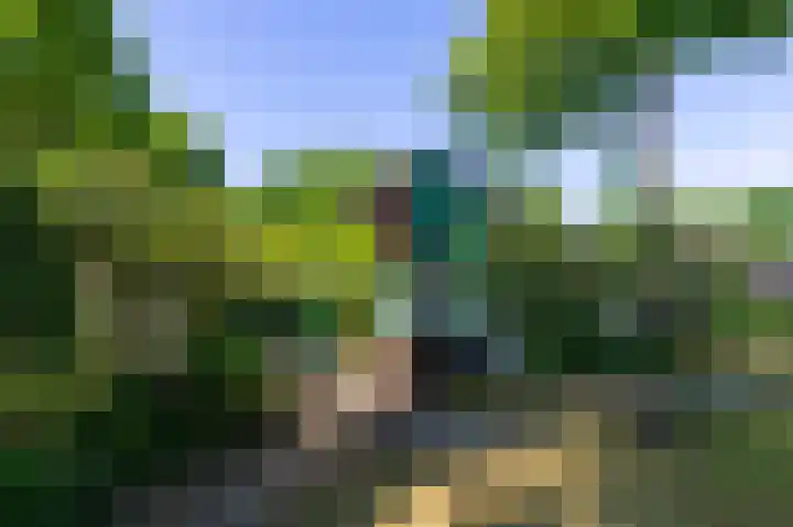 Europalaan 17 Putte thumbnail 5
