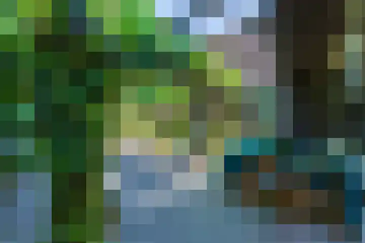 Europalaan 17 Putte thumbnail 50