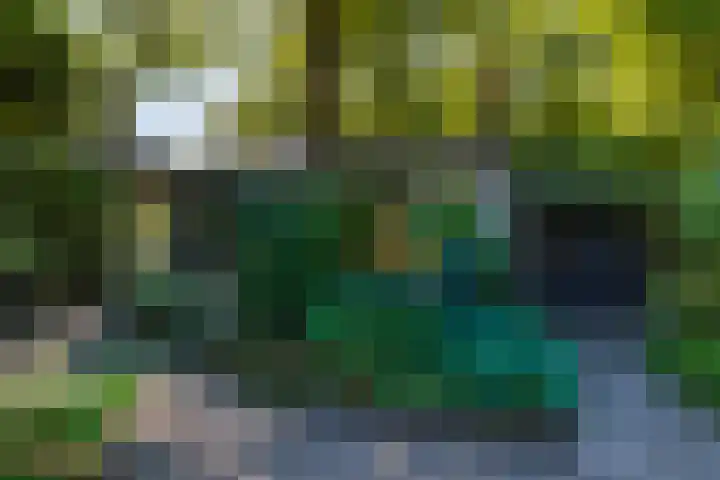 Europalaan 17 Putte thumbnail 52