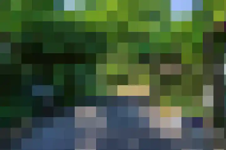 Europalaan 17 Putte thumbnail 53