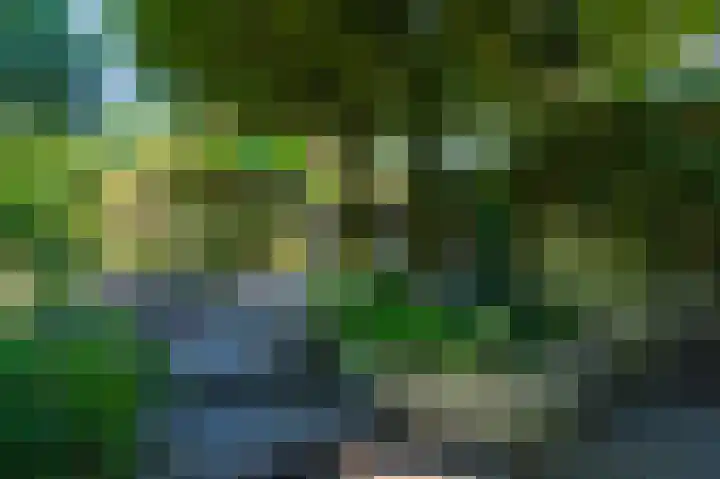 Europalaan 17 Putte thumbnail 55