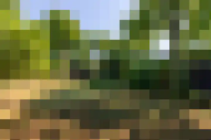 Europalaan 17 Putte thumbnail 56