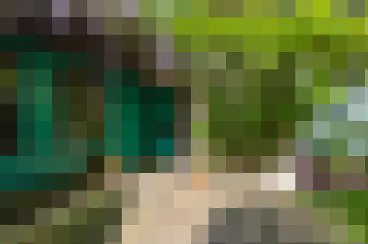 Europalaan 17 Putte thumbnail 7