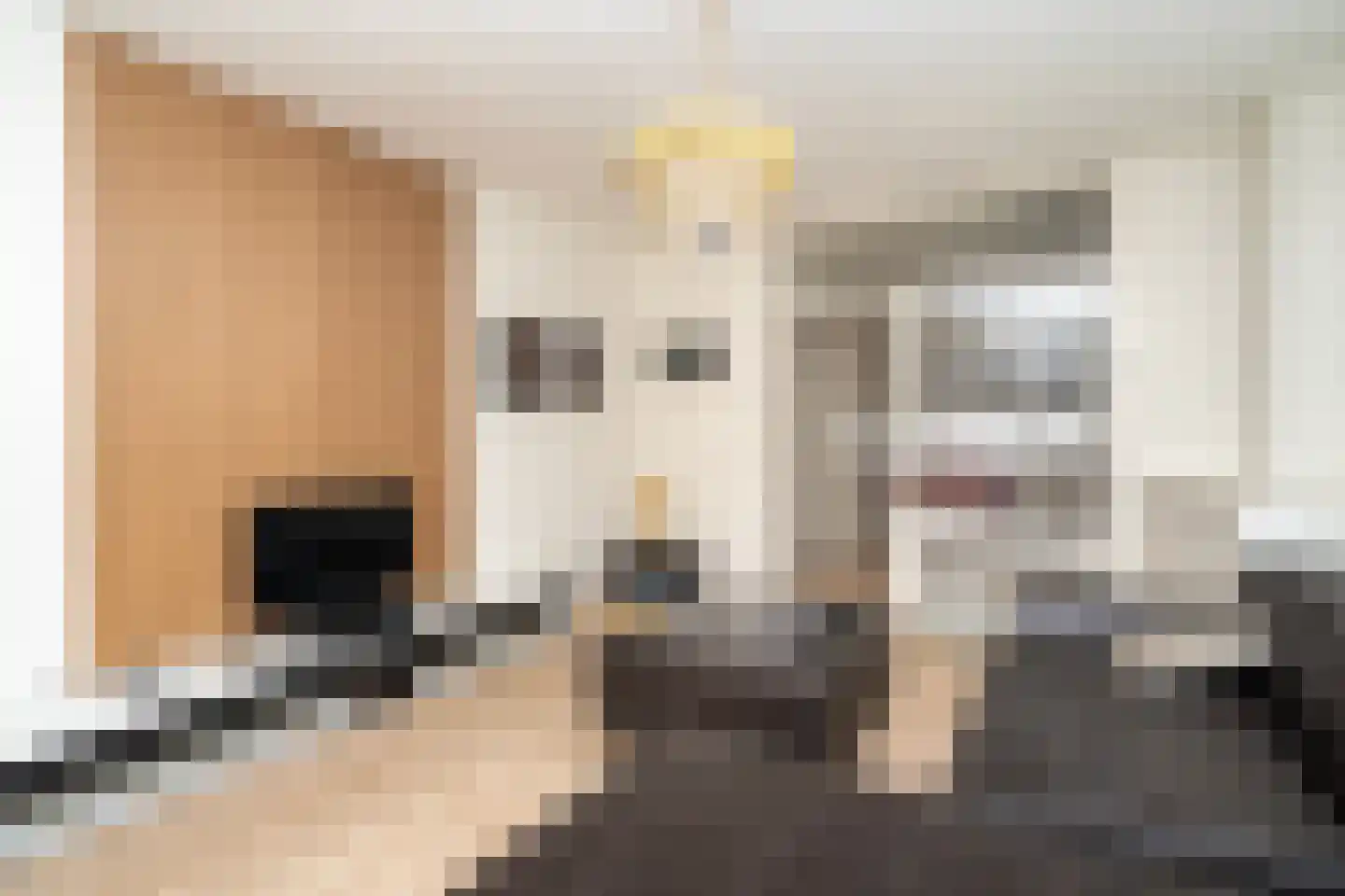Europalaan 17 Tilburg thumbnail 17