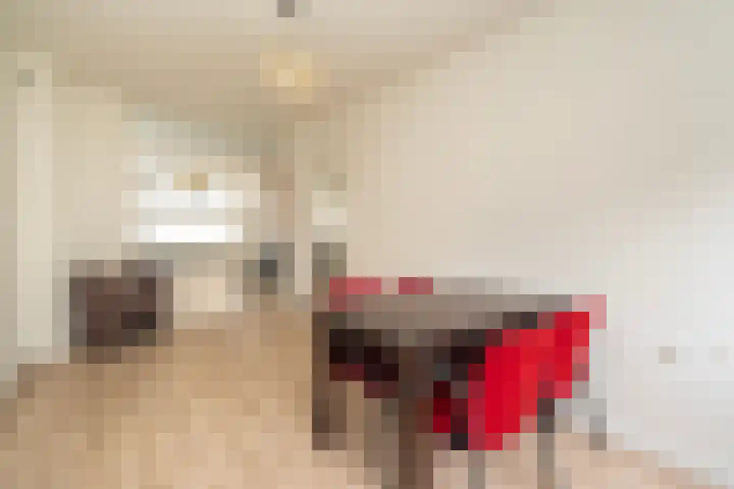 Europalaan 17 Tilburg thumbnail 20