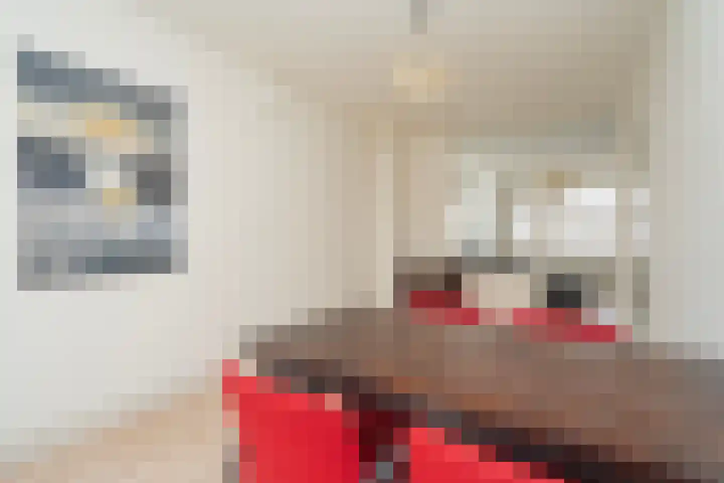 Europalaan 17 Tilburg thumbnail 21
