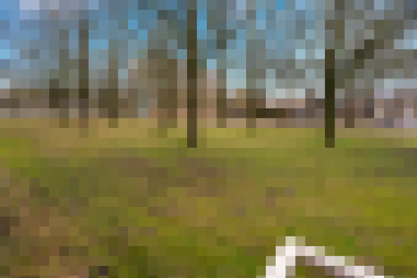 Europalaan 17 Tilburg thumbnail 30