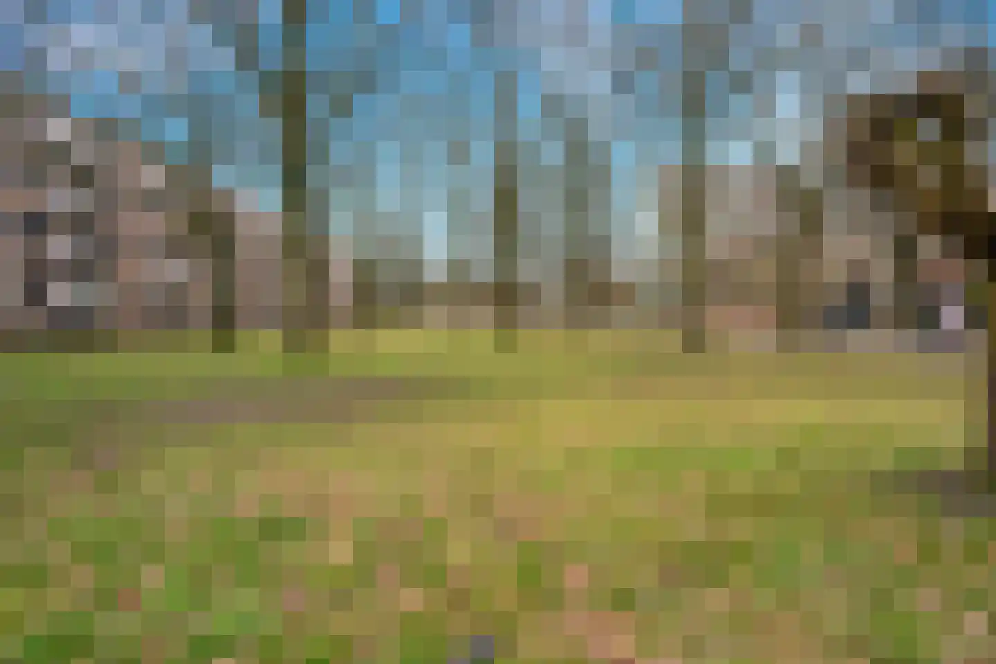 Europalaan 17 Tilburg thumbnail 38