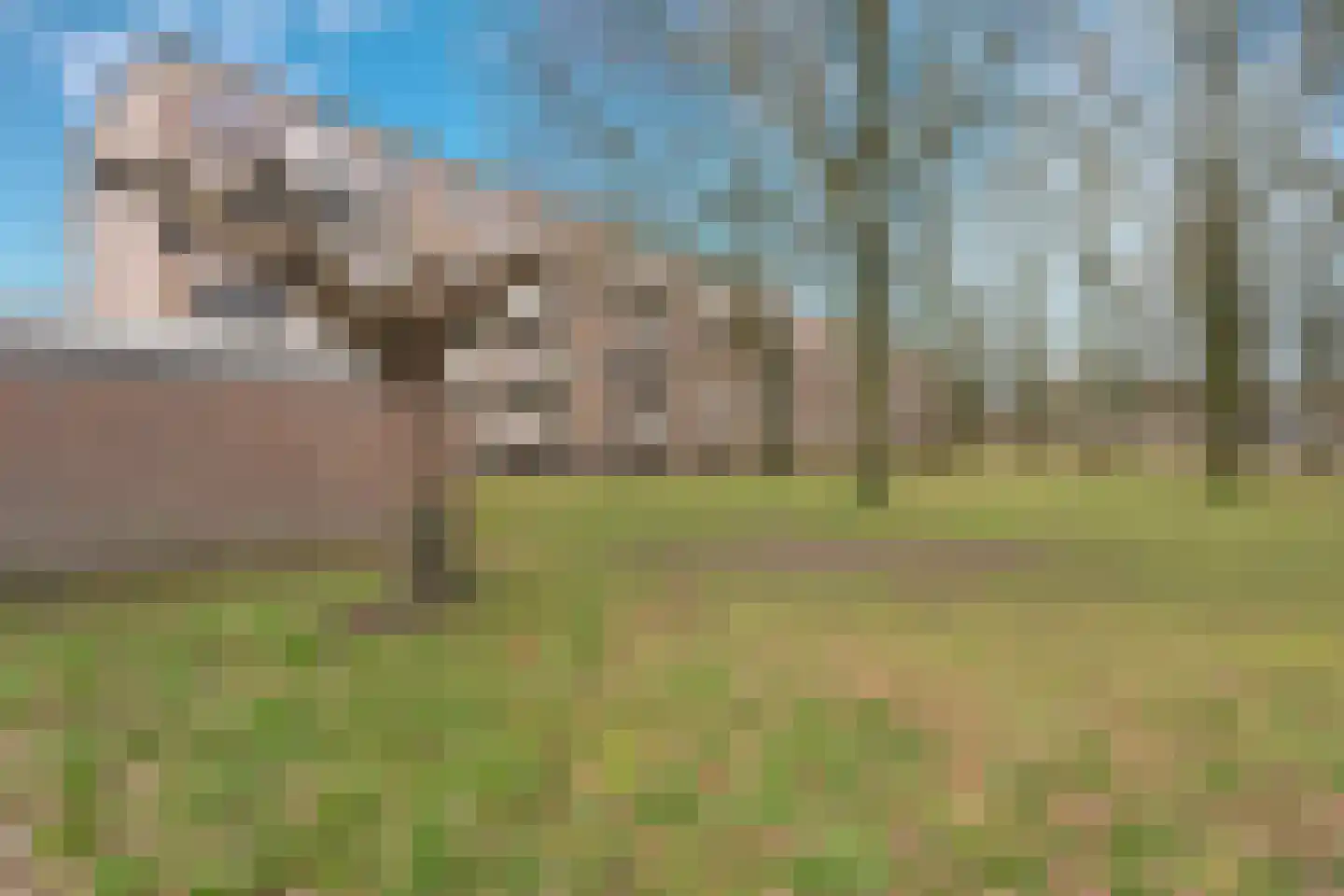 Europalaan 17 Tilburg thumbnail 6