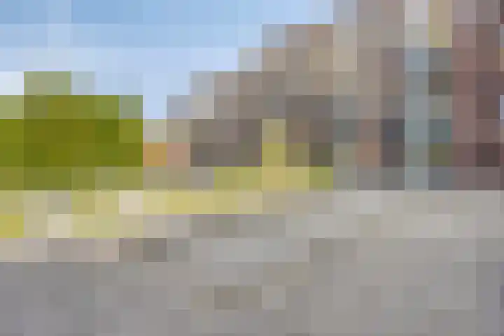 Europalaan 170 Valkenswaard thumbnail 19