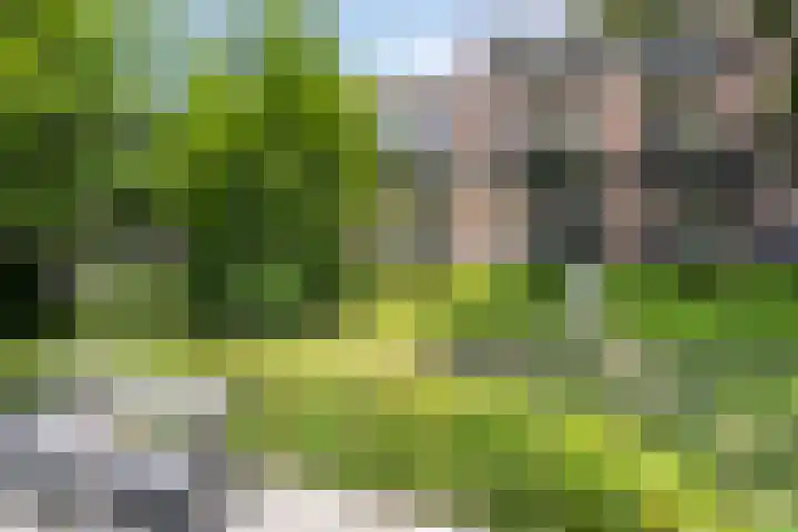 Europalaan 170 Valkenswaard thumbnail 25