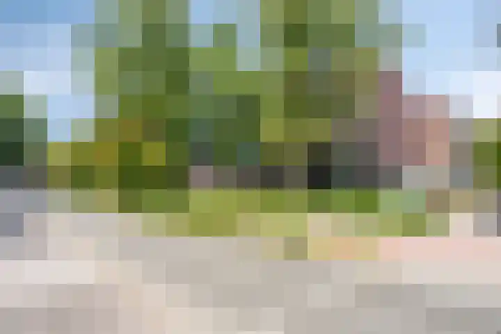 Europalaan 170 Valkenswaard thumbnail 27