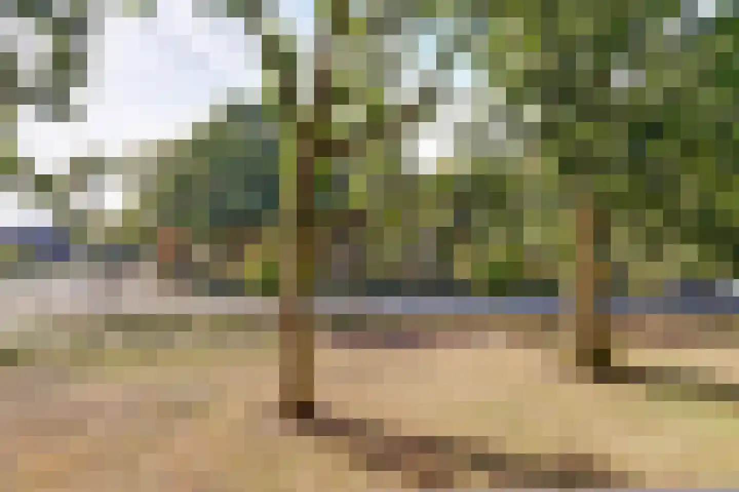 Europalaan 174 Valkenswaard thumbnail 21