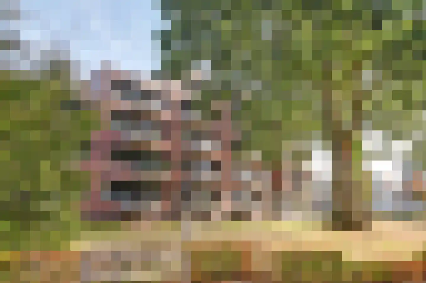 Europalaan 174 Valkenswaard thumbnail 4