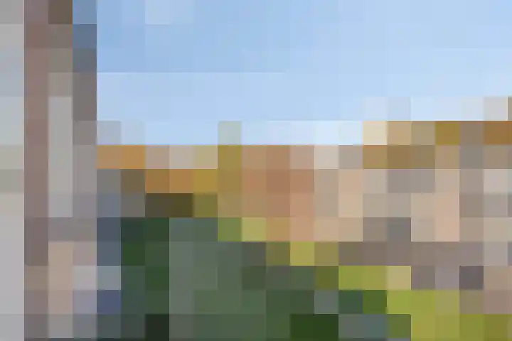 Europalaan 175 Tilburg thumbnail 14