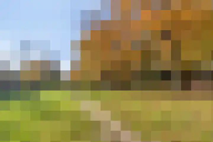 Europalaan 175 Tilburg thumbnail 38