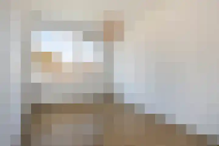 Europalaan 175 Tilburg thumbnail 4
