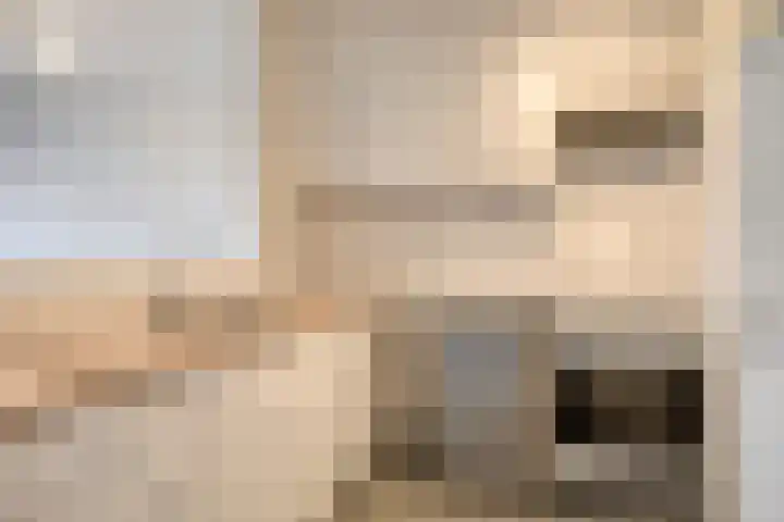 Europalaan 18 C Eindhoven thumbnail 15