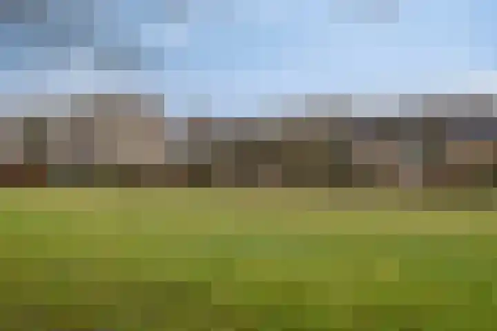 Europalaan 18 C Eindhoven thumbnail 25