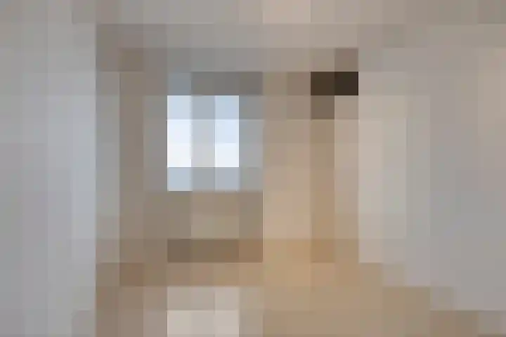Europalaan 18 C Eindhoven thumbnail 4