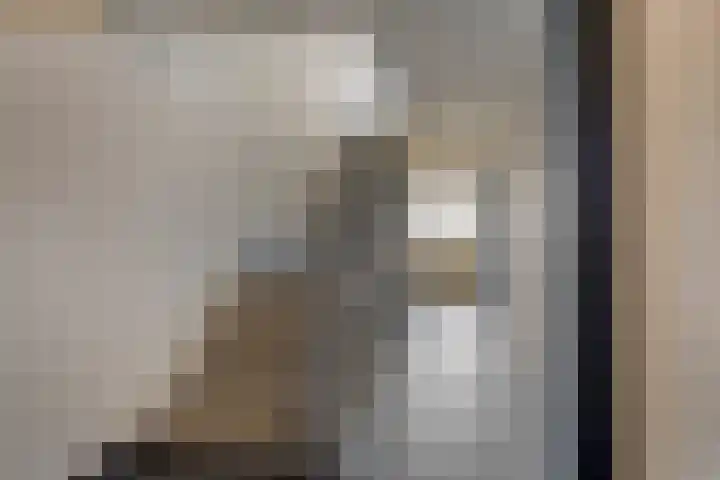 Europalaan 18 C Eindhoven thumbnail 9