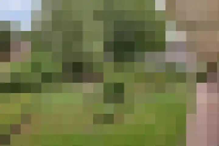 Europalaan 186 Enschede thumbnail 22