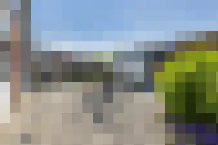 Europalaan 19 Sas van Gent thumbnail 21