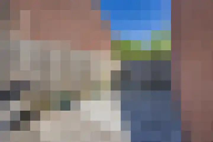 Europalaan 19 Sas van Gent thumbnail 24
