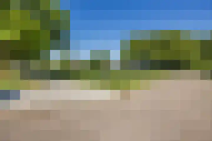 Europalaan 19 Sas van Gent thumbnail 26