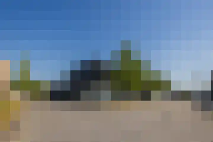 Europalaan 19 Sas van Gent thumbnail 28