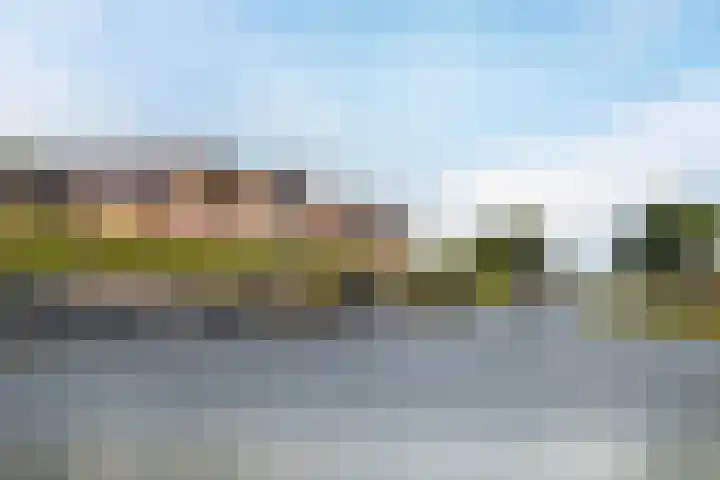 Europalaan 19 Sas van Gent thumbnail 29