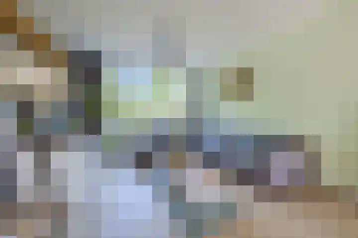 Europalaan 19 Sas van Gent thumbnail 6