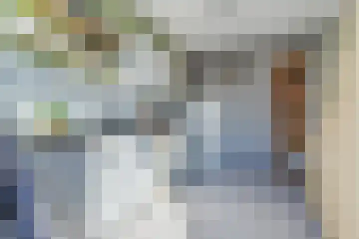 Europalaan 19 Sas van Gent thumbnail 9