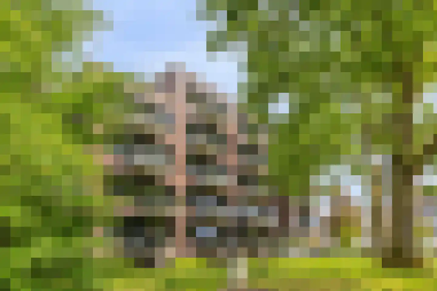 Europalaan 192 Valkenswaard