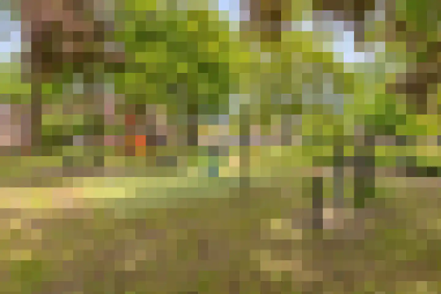 Europalaan 192 Valkenswaard thumbnail 36