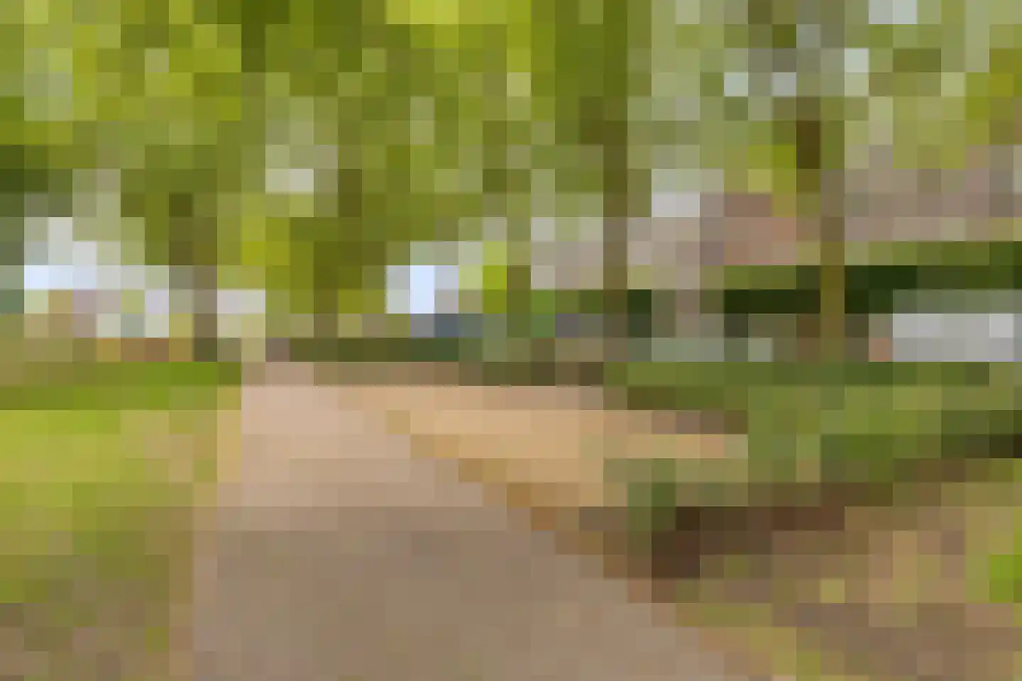 Europalaan 192 Valkenswaard thumbnail 39