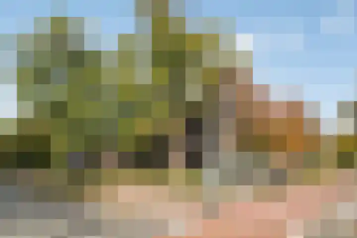 Europalaan 194 Valkenswaard thumbnail 22