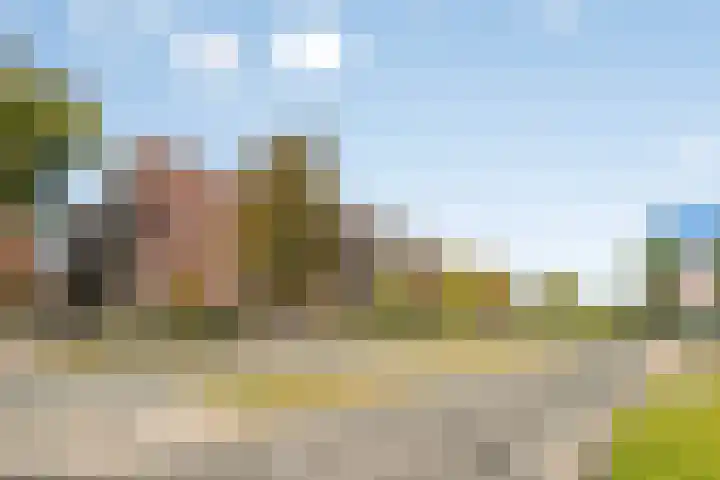 Europalaan 194 Valkenswaard thumbnail 23
