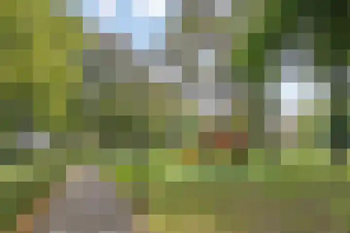 Europalaan 194 Valkenswaard thumbnail 24