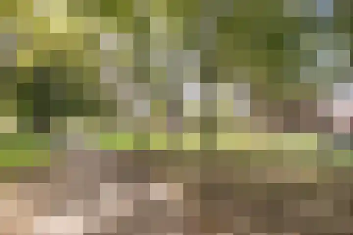 Europalaan 194 Valkenswaard thumbnail 25